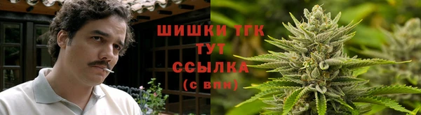 стафф Богородск