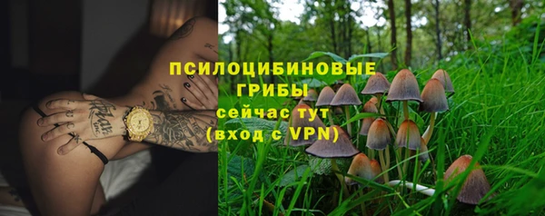 таблы Богородицк