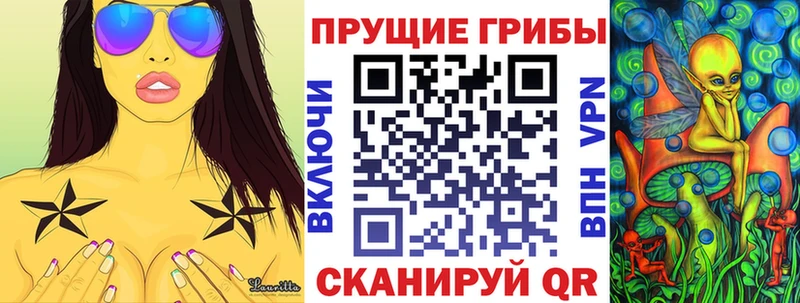 закладки  Балашов  Псилоцибиновые грибы MAGIC MUSHROOMS 